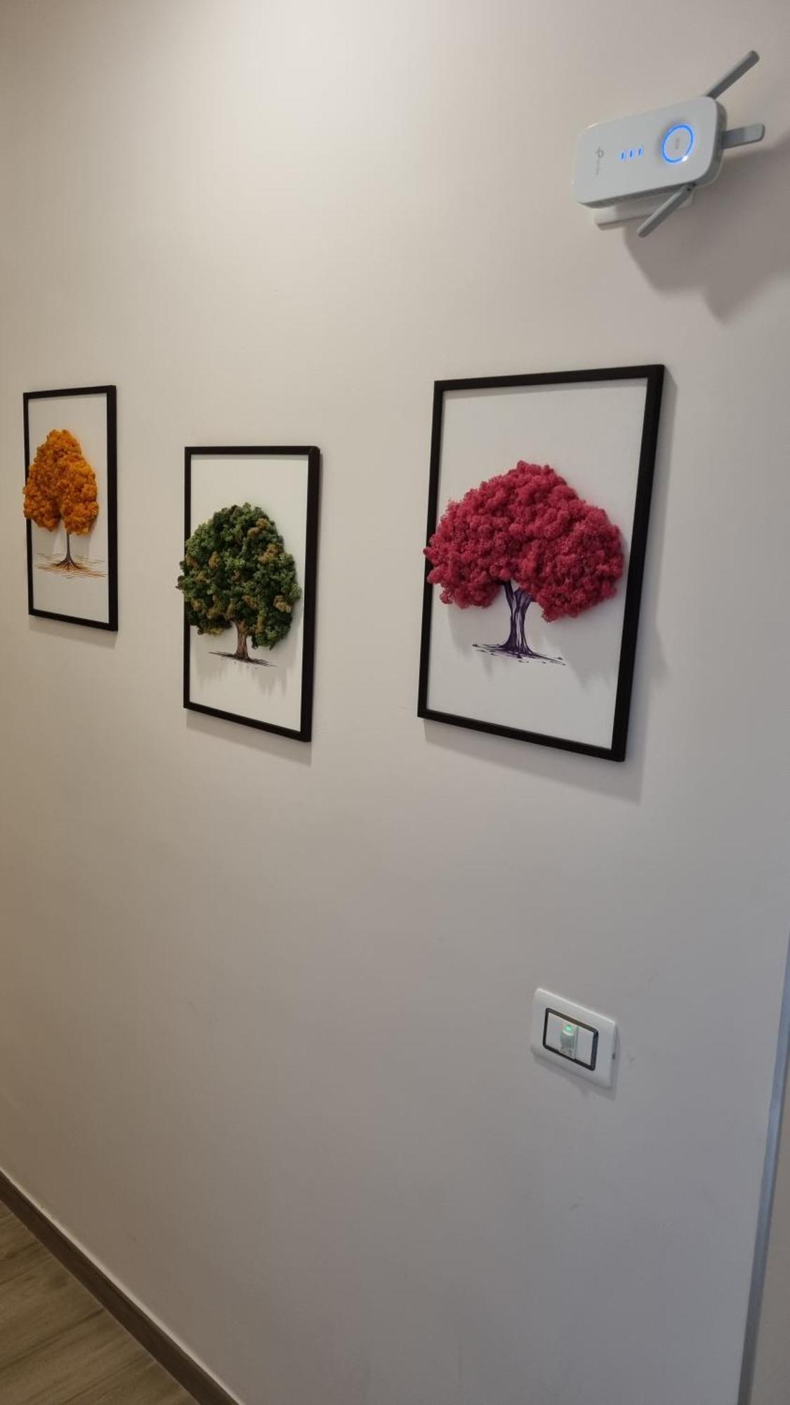 Mama Guest House Ciampino Dış mekan fotoğraf